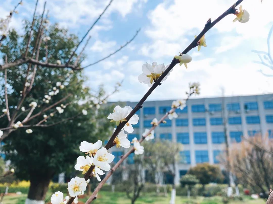 風景這邊獨好！東大環境美景一覽，請查收